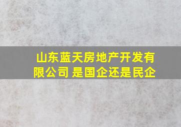 山东蓝天房地产开发有限公司 是国企还是民企